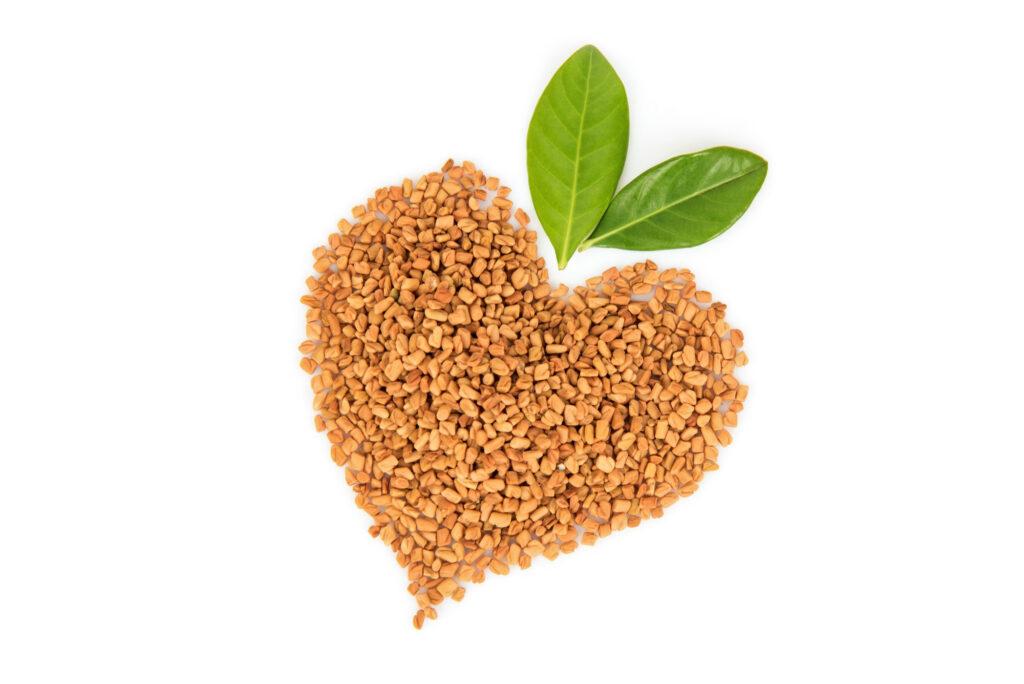 fenugreek seeds arranged heart shape isolated white background top view flat lay