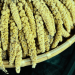 10 Powerful Benefits of Foxtail Millet: Boost Your Health and Well-being