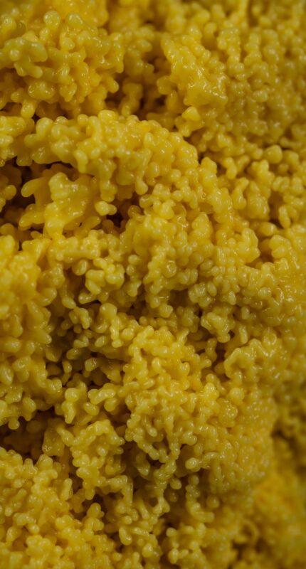 Photo by Egor Kamelev: https://www.pexels.com/photo/yellow-couscous-in-macro-photography-7849287/- Foztail millet, foxtail millets benefits