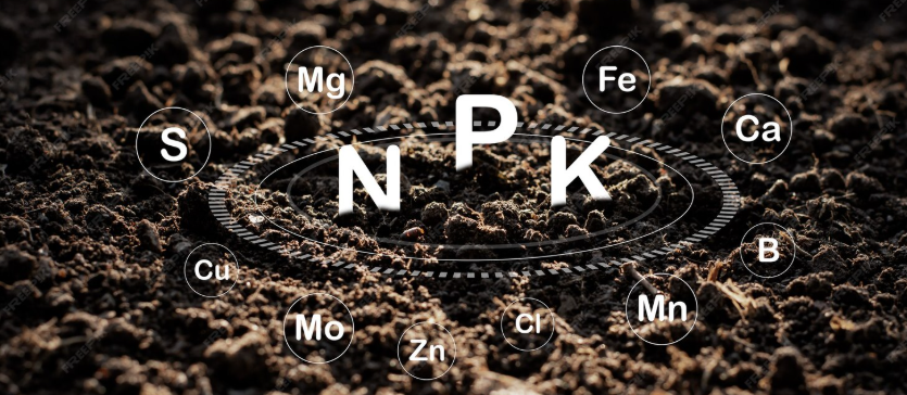Boron supplement showing trace mineral nutritional support